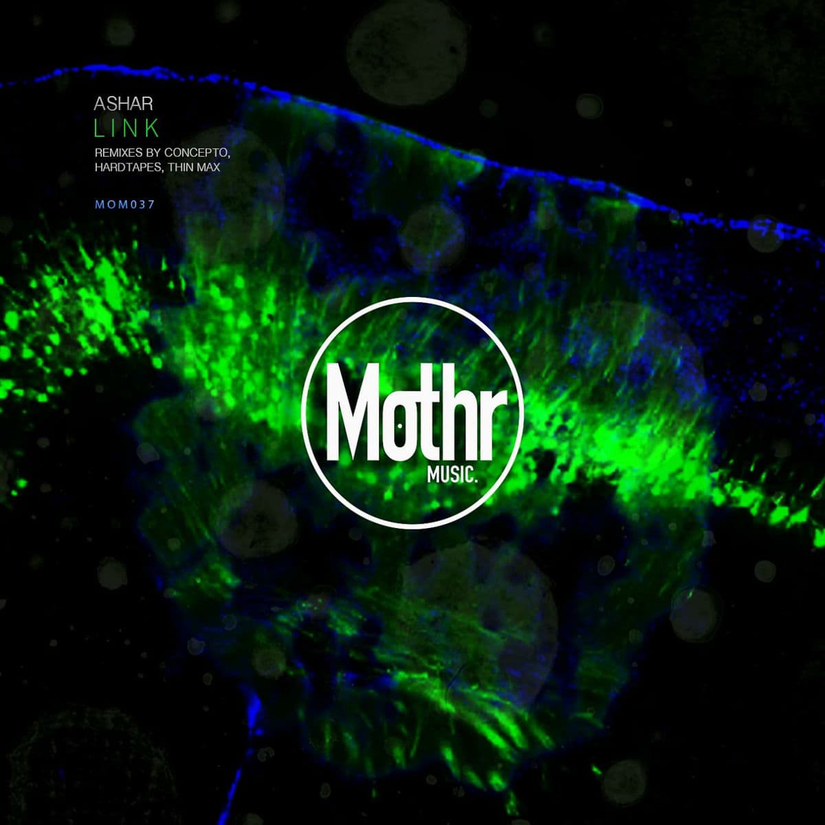 LINK EP — Mothr Music